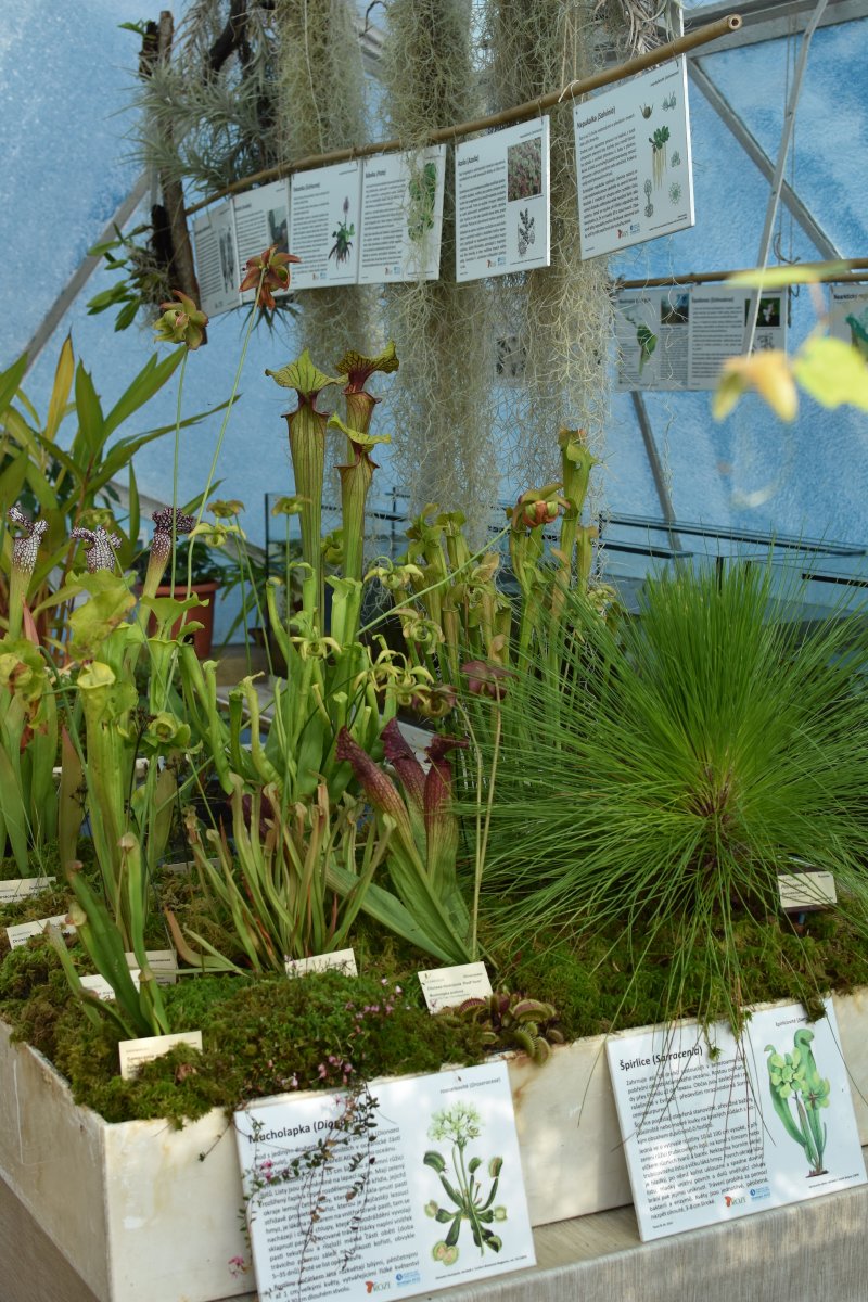Dny otevřených dveří v Botanické zahradě Třeboň
