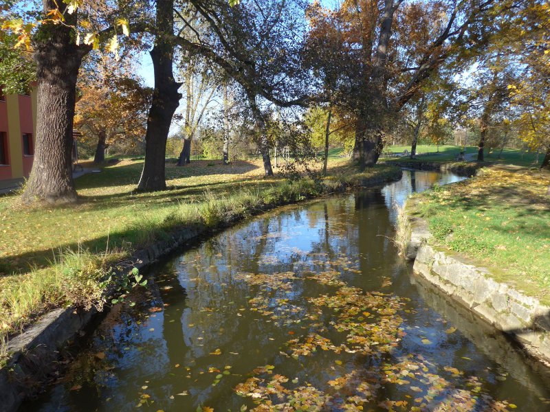 Zlatá stoka 