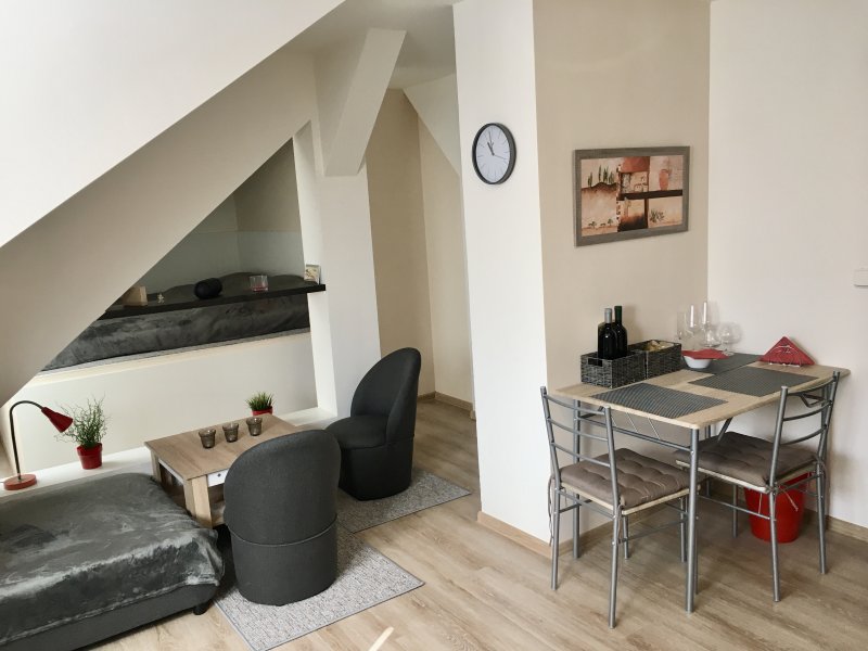 Podkrovní apartmán garsonka/studio - Třeboň